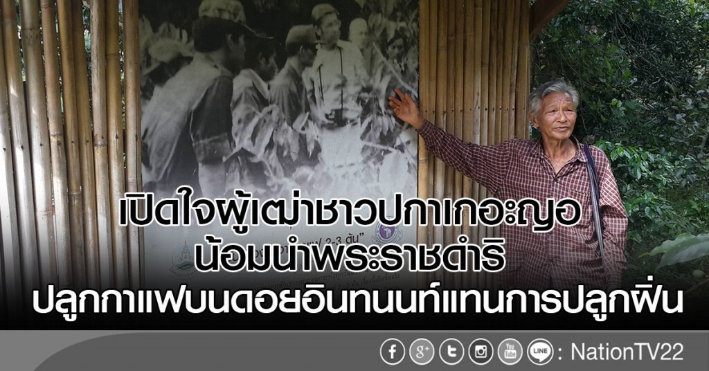 เปิดใจผู้เฒ่าชาวปกาเกอะญอ
น้อมนำพระราชดำริ
ปลูกกาแฟบนดอยอินทนนท์แทนการปลูกฝิ่น