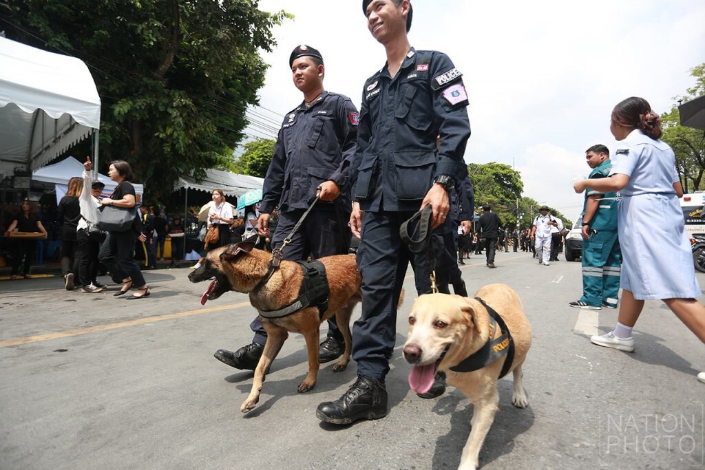 ตำรวจพร้อมสุนัข K9
ลงพื้นที่รักษาความปลอดภัยให้ประชาชน ตำรวจพร้อมสุนัข K9
ลงพื้นที่รักษาความปลอดภัยให้ประชาชน