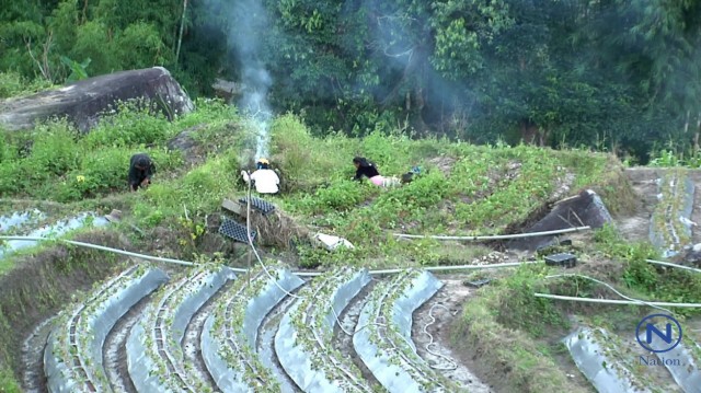 ผู้นำม้งภูมิใจชาวไทยภูเขามีวันนี้ได้เพราะพ่อหลวง