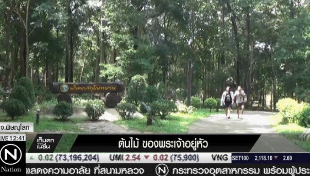 ต้นไม้ ของพระเจ้าอยู่หัว ต้นไม้ ของพระเจ้าอยู่หัว