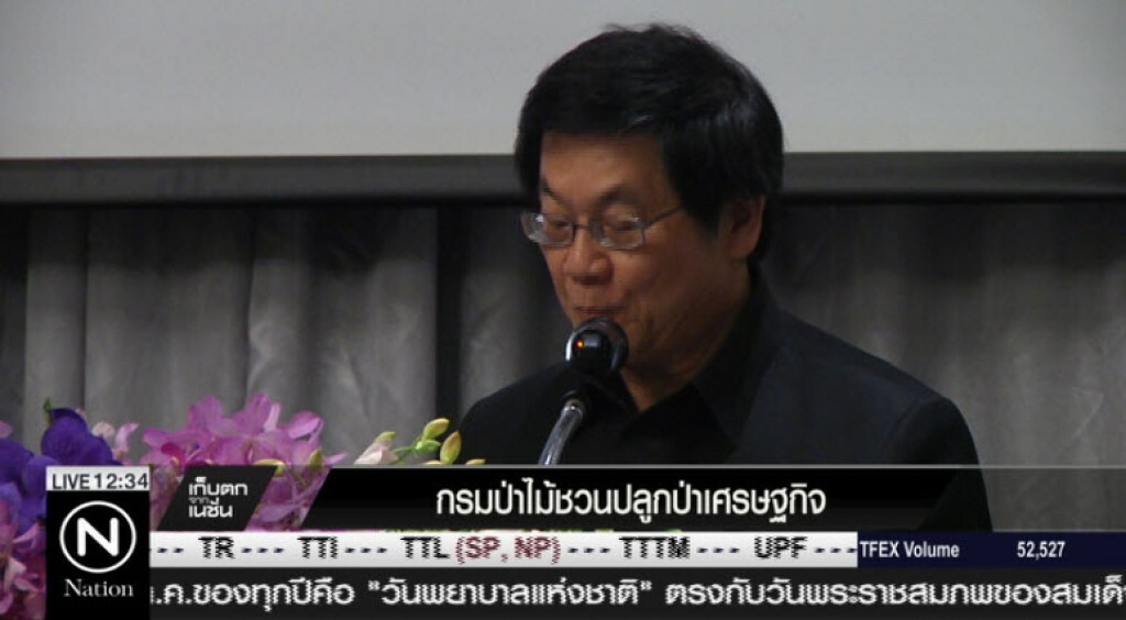 กรมป่าไม้ชวนปลูกป่าเศรษฐกิจ กรมป่าไม้ชวนปลูกป่าเศรษฐกิจ