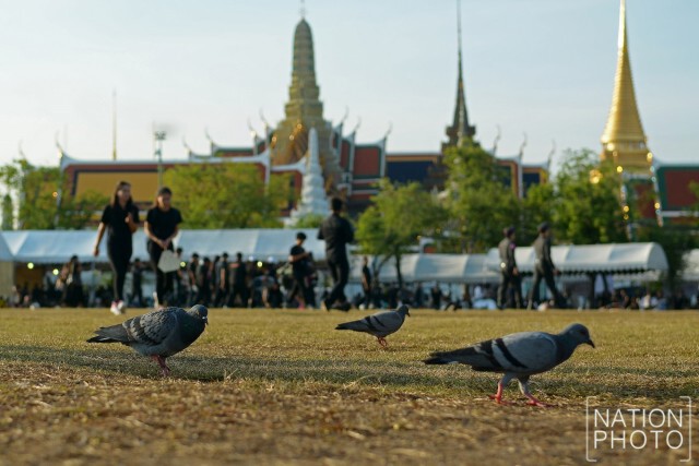 ประชาชนรอเข้าร่วมแสดงความอาลัย ที่ท้องสนามหลวง