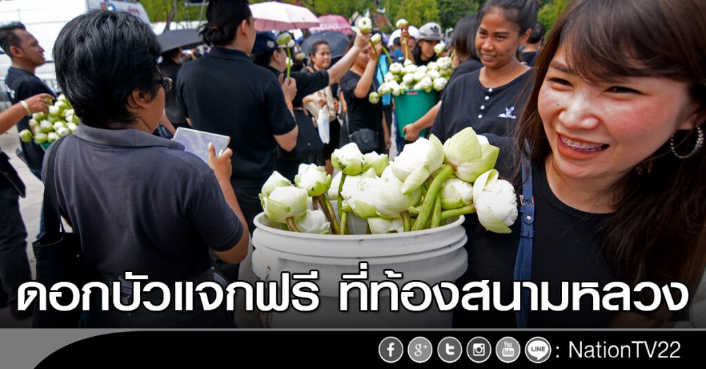 ดอกบัวแจกฟรี ที่ท้องสนามหลวง ดอกบัวแจกฟรี ที่ท้องสนามหลวง