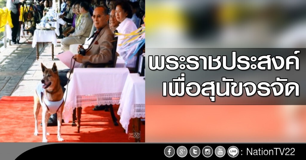 พระราชประสงค์ เพื่อสุนัขจรจัด พระราชประสงค์ เพื่อสุนัขจรจัด