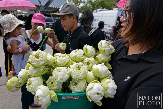 ดอกบัวแจกฟรี ที่ท้องสนามหลวง