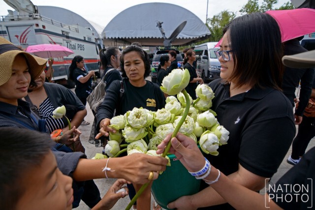 ดอกบัวแจกฟรี ที่ท้องสนามหลวง