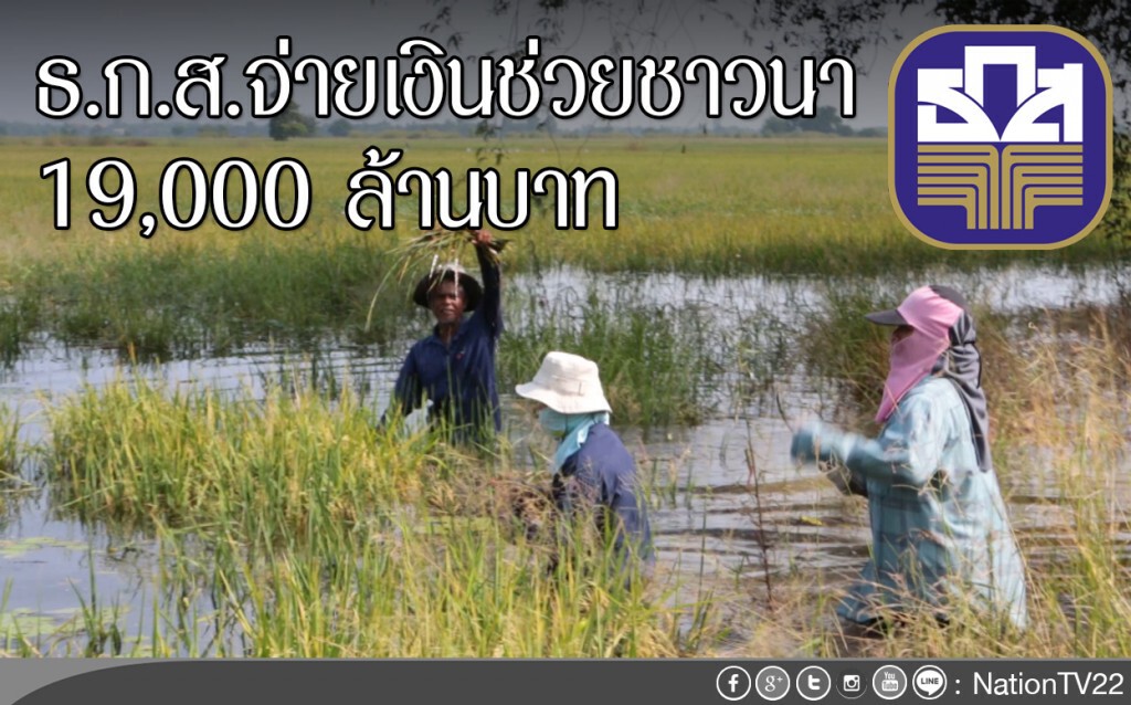 ธ.ก.ส.จ่ายเงินช่วยชาวนาแล้ว 19,000 ล้านบาท ธ.ก.ส.จ่ายเงินช่วยชาวนาแล้ว 19,000 ล้านบาท
