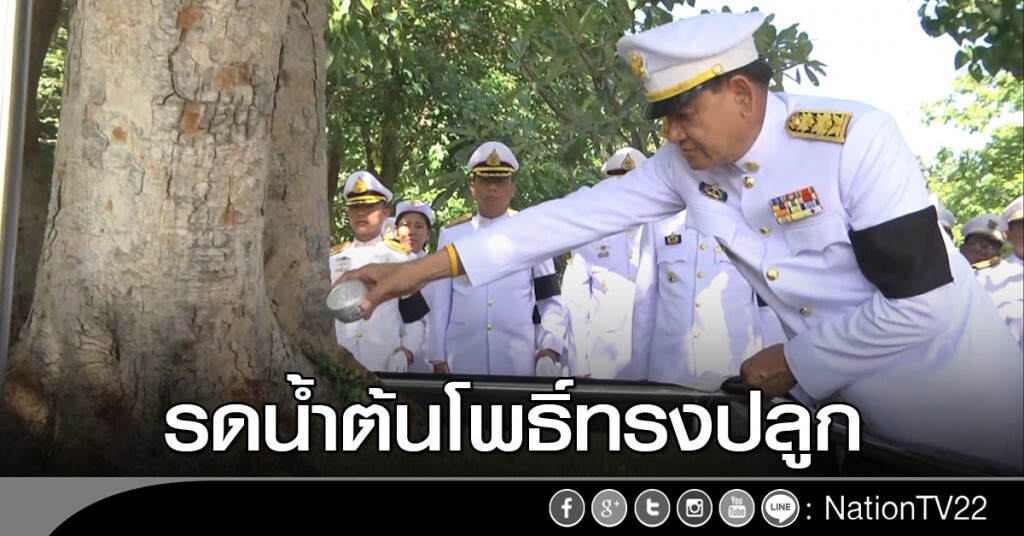 รดน้ำต้นโพธิ์ทรงปลูก