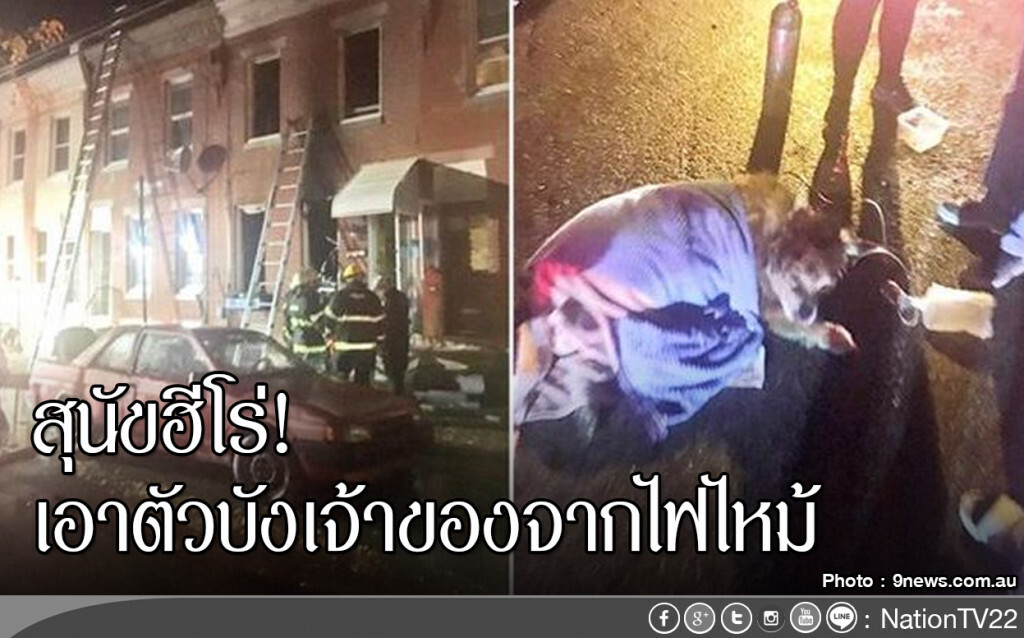 สุนัขฮีโร่ เอาตัวบังเจ้าของจากไฟไหม้ สุนัขฮีโร่ เอาตัวบังเจ้าของจากไฟไหม้