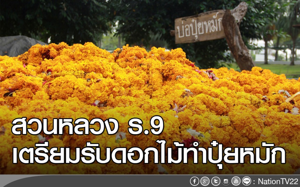 สวนหลวง ร.9 เตรียมรับดอกไม้ทำปุ๋ยหมัก สวนหลวง ร.9 เตรียมรับดอกไม้ทำปุ๋ยหมัก
