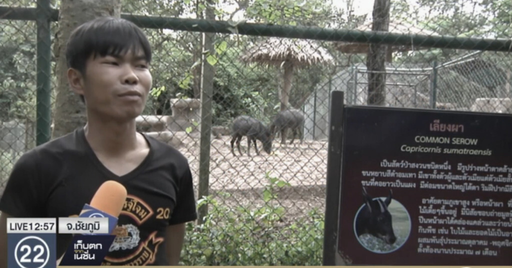 โครงการพระราชดำริ สถานีเพาะเลี้ยงสัตว์ป่าภูเขียว เพาะเลี้ยงสัตว์ป่าใกล้สูญพันธุ์