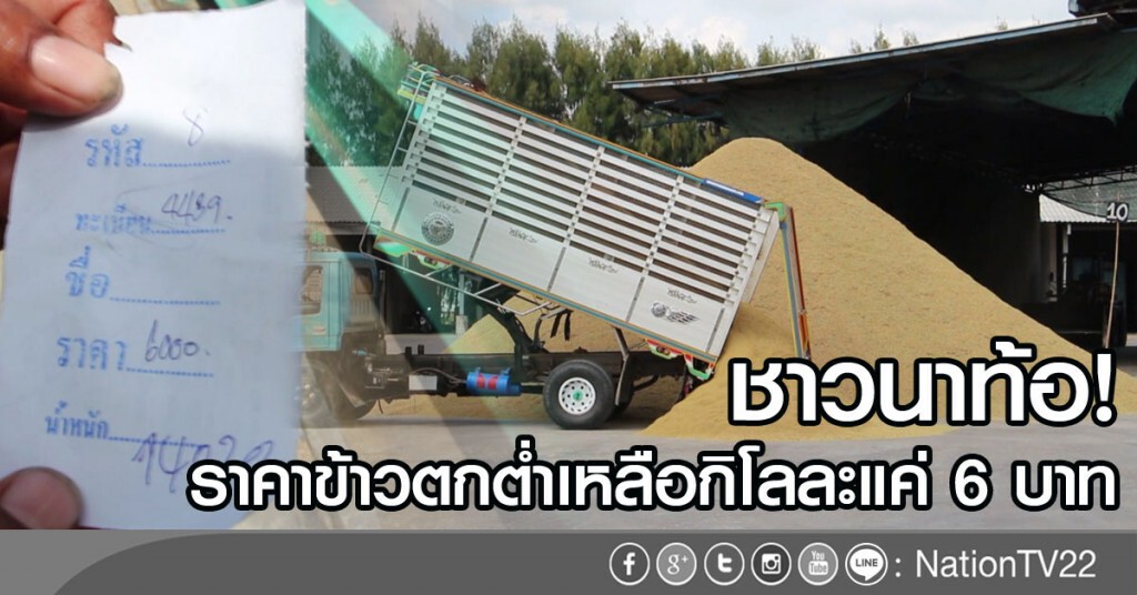 ชาวนาท้อ!
ราคาข้าวตกต่ำเหลือกิโลละแค่ 6 บาท ชาวนาท้อ!
ราคาข้าวตกต่ำเหลือกิโลละแค่ 6 บาท