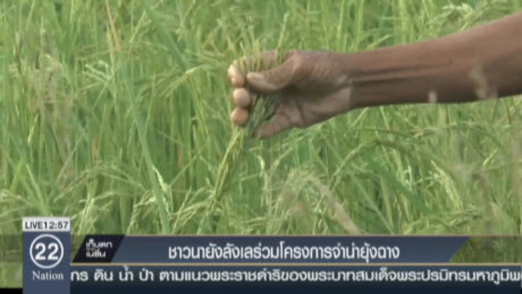 ชาวนายังลังเลร่วมโครงการจำนำยุ้งฉาง ชาวนายังลังเลร่วมโครงการจำนำยุ้งฉาง