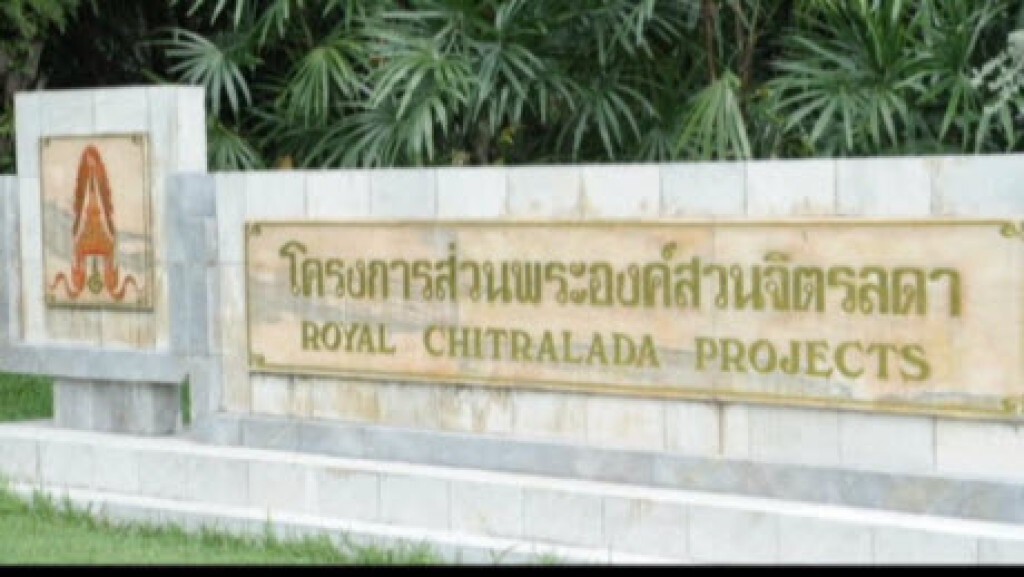 ศาสตร์พระราชา คืนป่าชีวิตดอยตุง