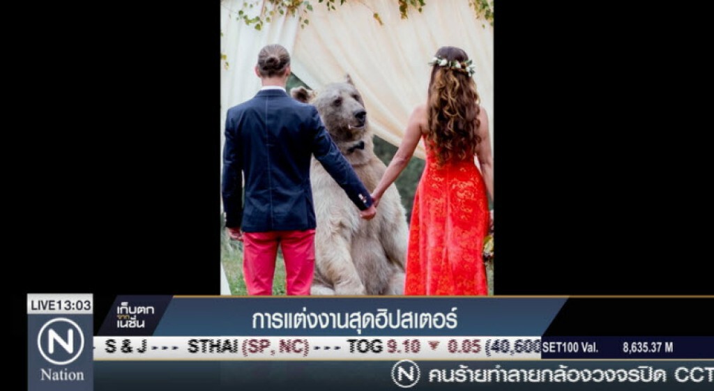 การแต่งงานสุดฮิปสเตอร์ การแต่งงานสุดฮิปสเตอร์