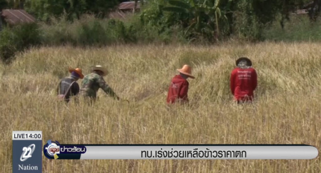 ทบ.เร่งช่วยเหลือข้าวราคาตก ทบ.เร่งช่วยเหลือข้าวราคาตก