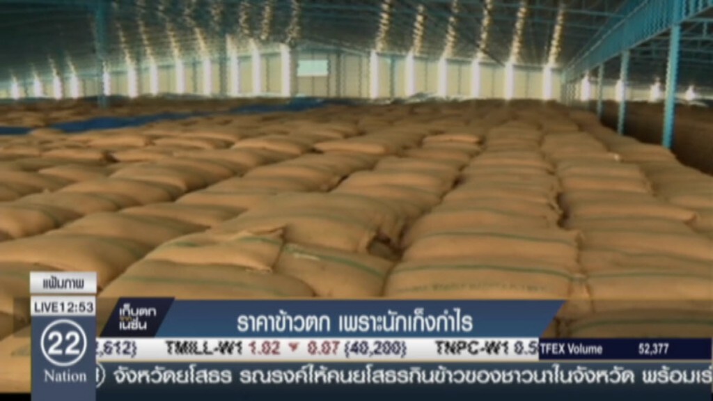 ราคาข้าวตก เพราะนักเก็งกำไร ราคาข้าวตก เพราะนักเก็งกำไร
