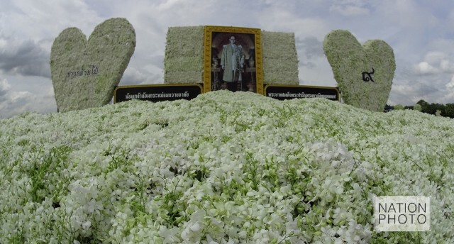 กลุ่มเกษตรกร 4 จังหวัด รอบพุทธมณฑล นำกล้วยไม้ถวายอาลัยในหลวง ร.๙