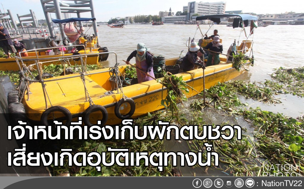 เจ้าหน้าที่เร่งเก็บผักตบชวา เสี่ยงเกิดอุบัติเหตุทางน้ำ เจ้าหน้าที่เร่งเก็บผักตบชวา เสี่ยงเกิดอุบัติเหตุทางน้ำ