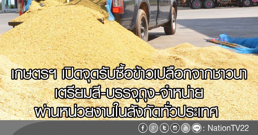 เกษตรฯ เปิดจุดรับซื้อข้าวเปลือกจากชาวนา
เตรียมสี-บรรจุถุง-จำหน่าย
ผ่านหน่วยงานในสังกัดทั่วประเทศ