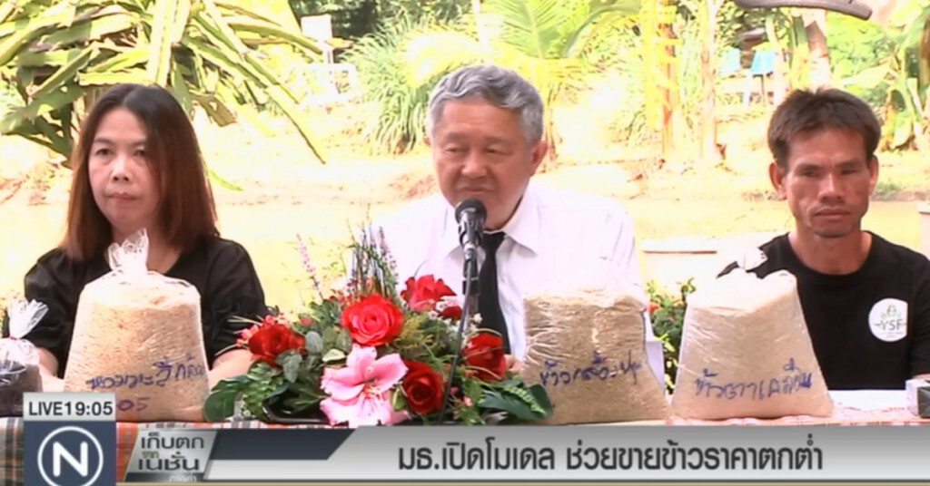 มธ.เปิดโมเดล ช่วยขายข้าวราคาตกต่ำ