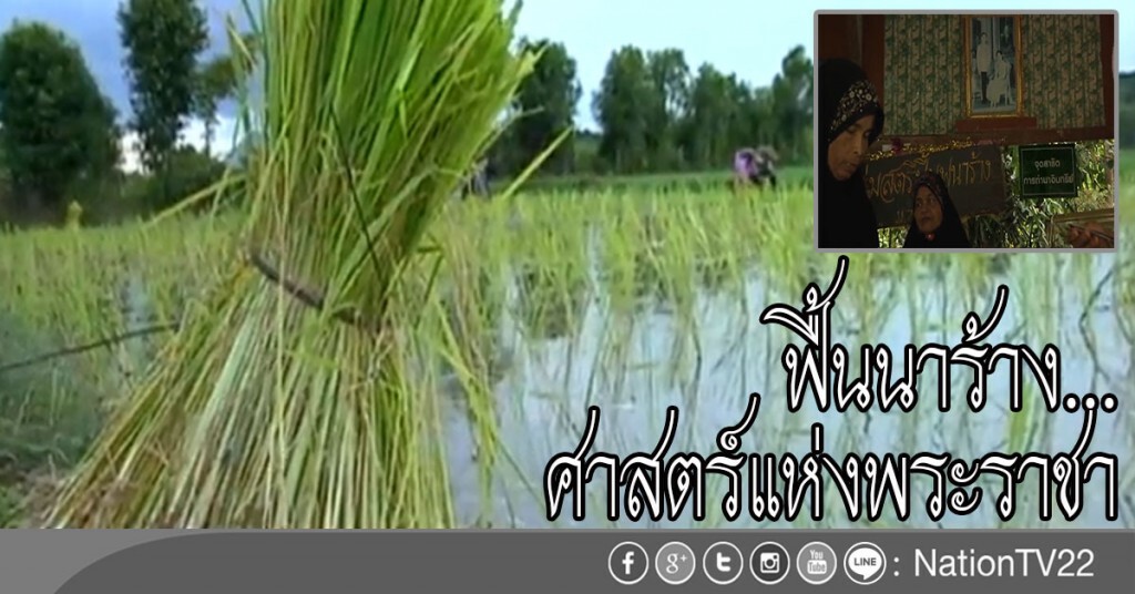 ฟื้นนาร้าง..ศาสตร์แห่งพระราชา ฟื้นนาร้าง..ศาสตร์แห่งพระราชา