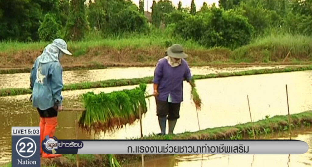 ก.แรงงานช่วยชาวนาทำอาชีพเสริม ก.แรงงานช่วยชาวนาทำอาชีพเสริม