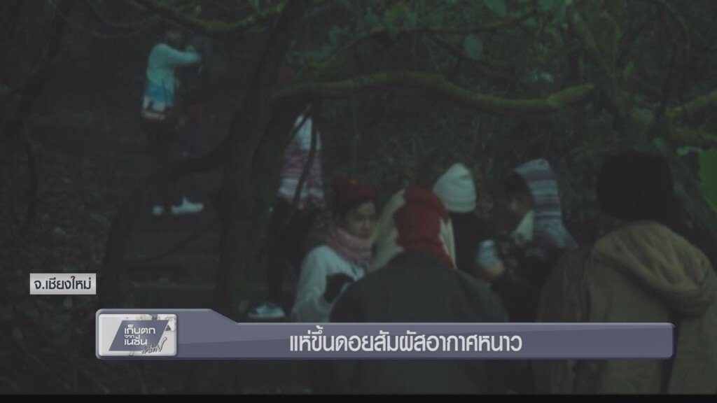 แห่ขึ้นดอยสัมผัสอากาศหนาว แห่ขึ้นดอยสัมผัสอากาศหนาว
