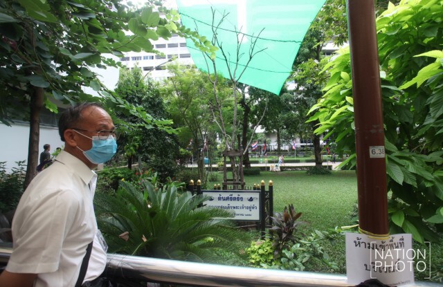 ข่าวดี "ต้นศรีตรัง" ที่ "ในหลวง" ทรงปลูก ผลิตาใหม่แล้ว