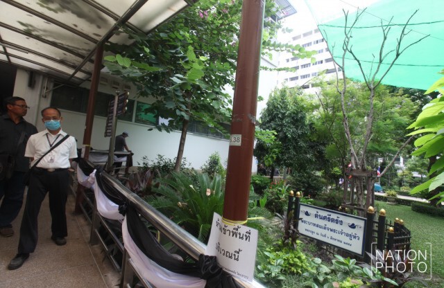 ข่าวดี "ต้นศรีตรัง" ที่ "ในหลวง" ทรงปลูก ผลิตาใหม่แล้ว