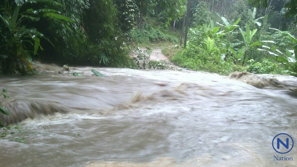 สุราษฎร์ฯฝนตกหนัก เตือนระวังน้ำป่าไหลหลากพื้นที่เสี่ยง 4 อำเภอ