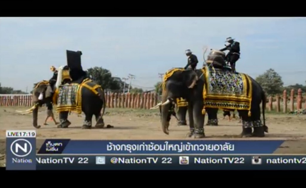 ช้างกรุงเก่าซ้อมใหญ่ เข้าถวายอาลัย ช้างกรุงเก่าซ้อมใหญ่ เข้าถวายอาลัย