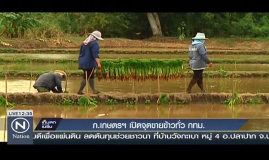 กระทรวงเกษตร เปิดจุดขายข้าวทั่ว กทม. กระทรวงเกษตร เปิดจุดขายข้าวทั่ว กทม.
