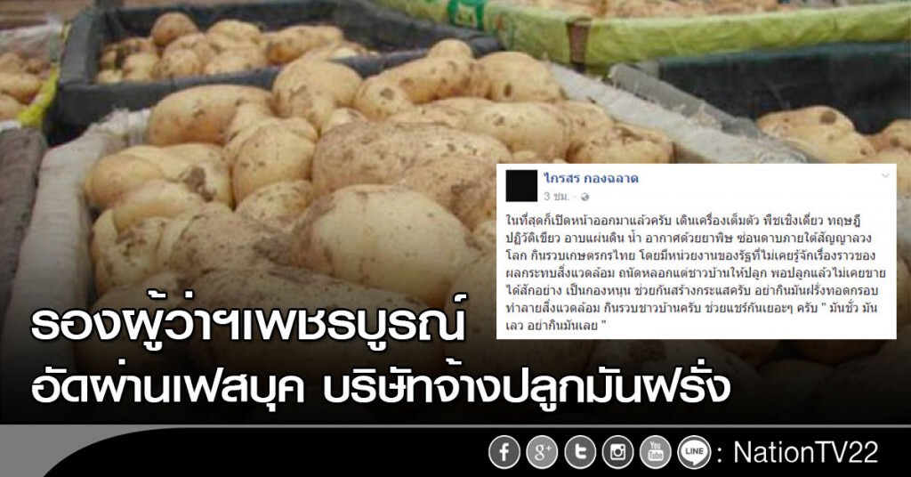 รองผู้ว่าฯเพชรบูรณ์ อัดผ่านเฟสบุค บริษัทจ้างปลูกมันฝรั่ง รองผู้ว่าฯเพชรบูรณ์ อัดผ่านเฟสบุค บริษัทจ้างปลูกมันฝรั่ง