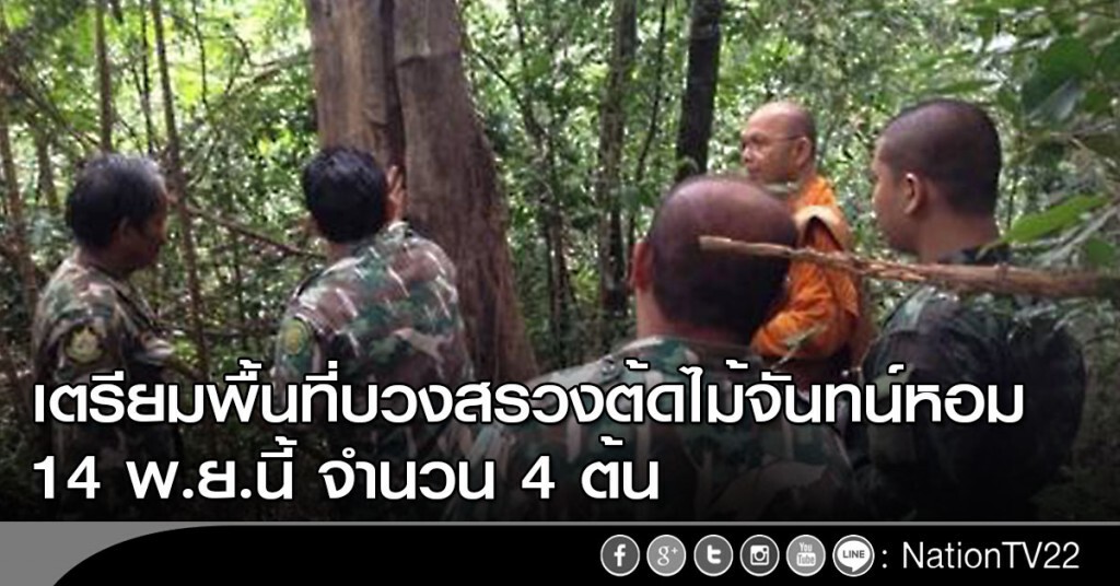 เตรียมพื้นที่บวงสรวงต้ดไม้จันทน์หอม 14 พ.ย.นี้ จำนวน 4 ต้น