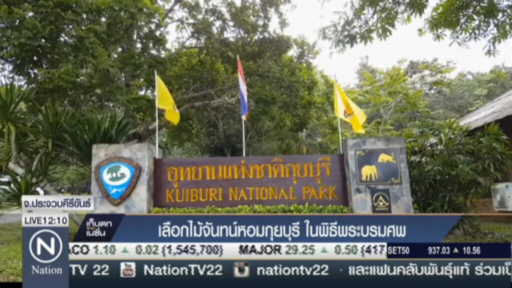 เลือกไม้จันทน์หอมกุยบุรี ในพิธีพระบรมศพ