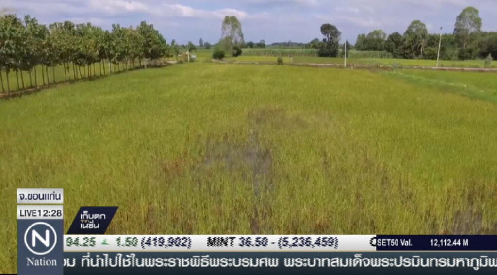 เกษตรผสมสานตามรอยพ่อ เกษตรผสมสานตามรอยพ่อ