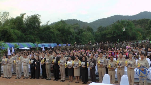 เชียงใหม่-นำช้าง 89 เชือกก้มกราบถวายอาลัย