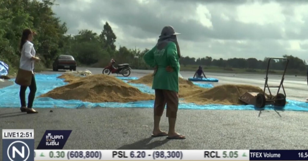 ฝนกระหน่ำบุรีรัมย์ ข้าวเปลือกที่ตากเสียหาย ฝนกระหน่ำบุรีรัมย์ ข้าวเปลือกที่ตากเสียหาย