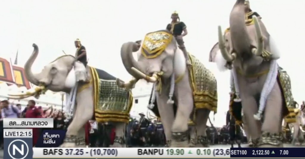 ปชช.ทยอยถวายบังคมพระบรมศพ ส่วนมูลนิธิพระคชบาล นำช้างแสดงความอาลัย