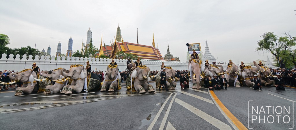 ภาพชุด : ช้างจากวังช้างอยุธยาแลเพนียด 11 เชือก ถวายสักการะพระบรมศพ ภาพชุด : ช้างจากวังช้างอยุธยาแลเพนียด 11 เชือก ถวายสักการะพระบรมศพ