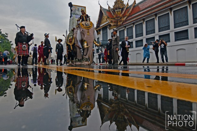 ภาพชุด : ช้างจากวังช้างอยุธยาแลเพนียด 11 เชือก ถวายสักการะพระบรมศพ