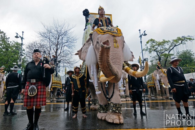 ภาพชุด : ช้างจากวังช้างอยุธยาแลเพนียด 11 เชือก ถวายสักการะพระบรมศพ