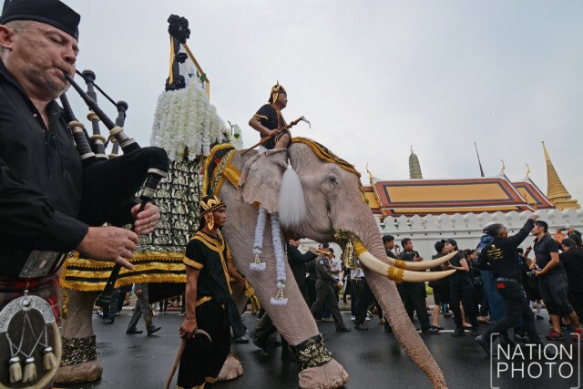 ภาพชุด : ช้างจากวังช้างอยุธยาแลเพนียด 11 เชือก ถวายสักการะพระบรมศพ