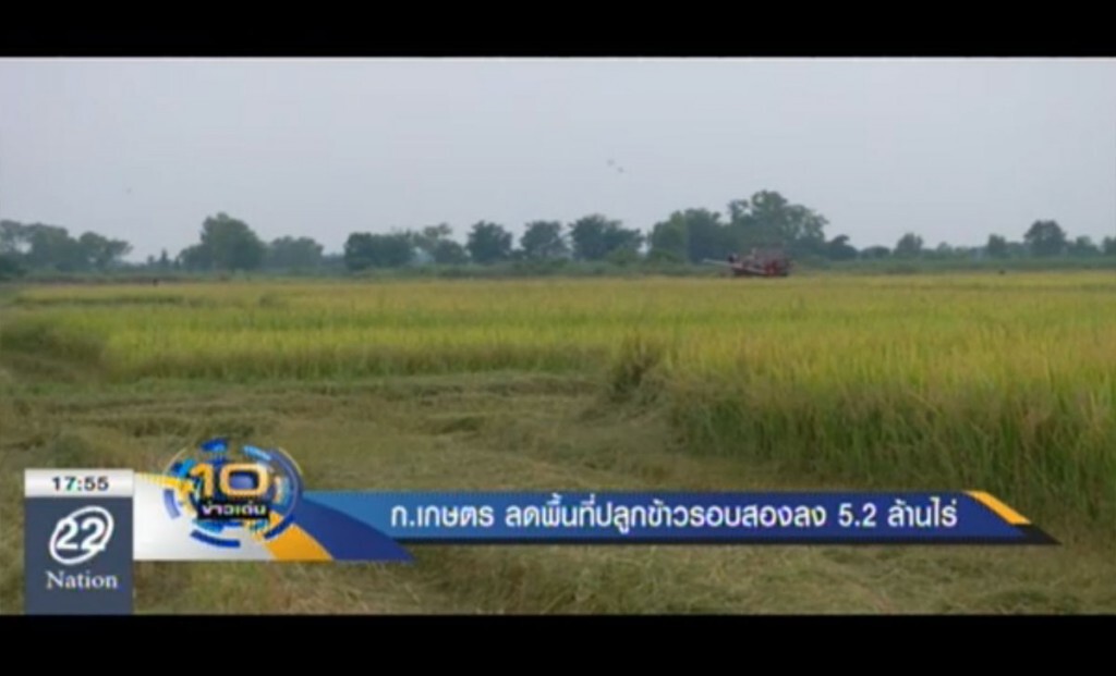 ก.เกษตรฯ เล็งลดพื้นที่ปลูกข้าวลง 5.2 ล้านไร่ ก.เกษตรฯ เล็งลดพื้นที่ปลูกข้าวลง 5.2 ล้านไร่