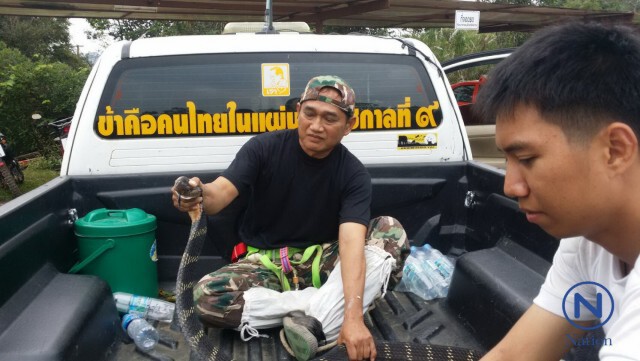 กรื๊ดลั่นรถ!
รถตู้ใจดี หยุดรถให้งูจงอางเลื้อยข้ามถนน
แต่งูดันติดรถมาด้วย