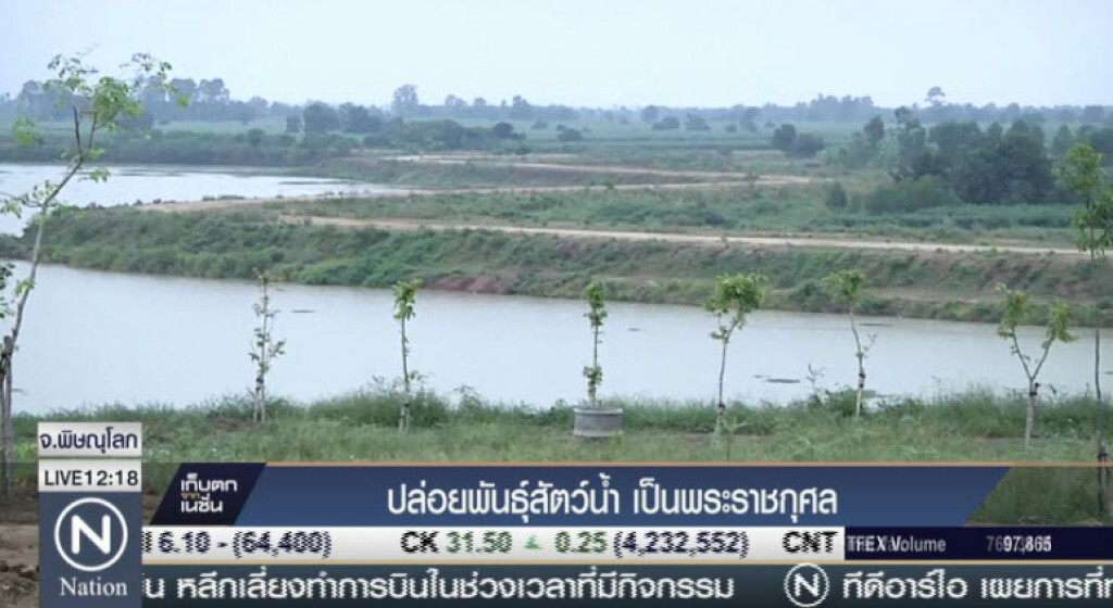 ปล่อยพันธุ์สัตว์น้ำ เป็นพระราชกุศล ปล่อยพันธุ์สัตว์น้ำ เป็นพระราชกุศล