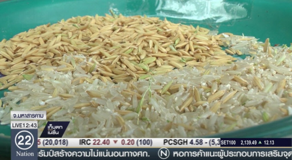 ผู้ว่าฯ สังเกตการซื้อขายข้าวเปลือก