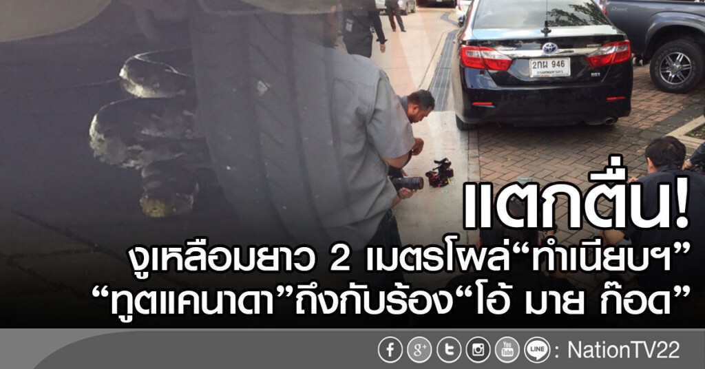 แตกตื่น!งูเหลือมยาว 2 เมตรโผล่"ทำเนียบฯ"
"ทูตแคนาดา"ถึงกับร้อง"โอ้ มาย ก๊อด"