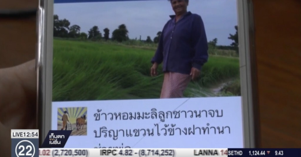 ลูกชาวนาพ่อค้าข้าวออนไลน์ ลูกชาวนาพ่อค้าข้าวออนไลน์